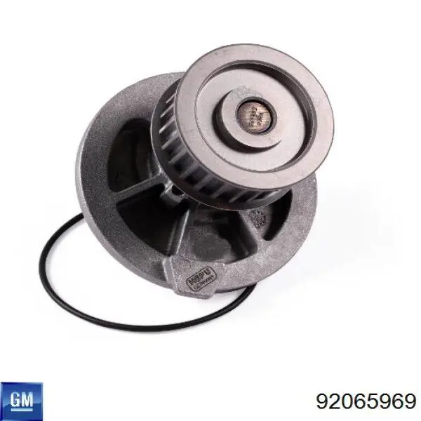 Помпа охлаждения General Motors 92065969 цена, от 24.55 USD