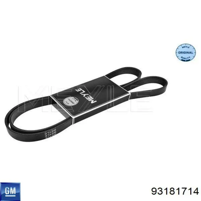 Купить 93181714 General Motors Ремень генератора
