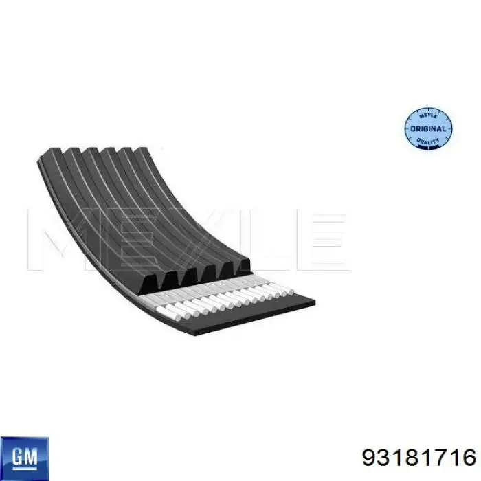 Ремень генератора 93181716 General Motors