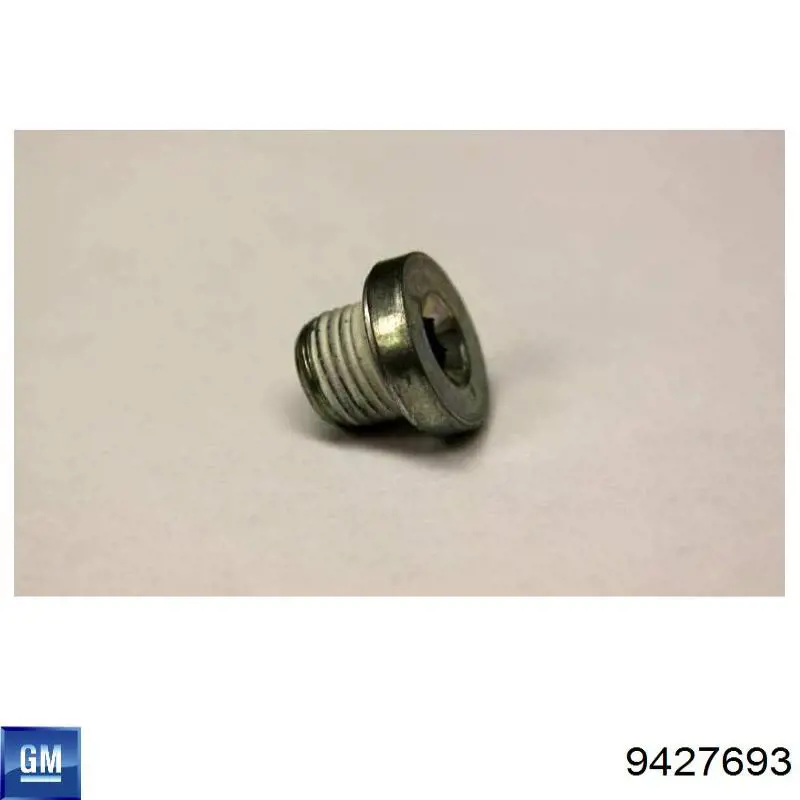 Купить 09427693 General Motors 
