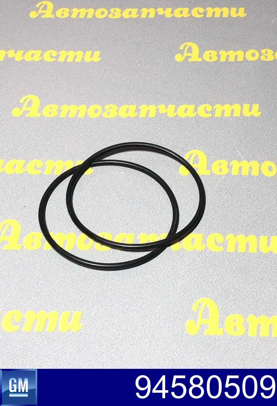 94580509 General Motors прокладка водяной помпы