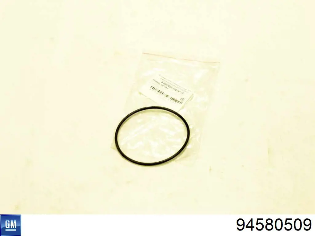 Прокладка помпы General Motors 94580509
