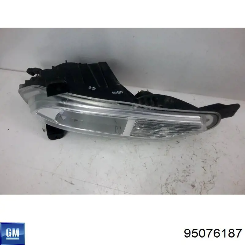 95076187 General Motors 