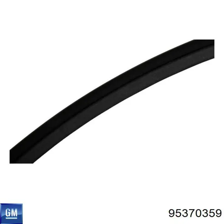 Форсунка омывателя заднего стекла 95370359 General Motors