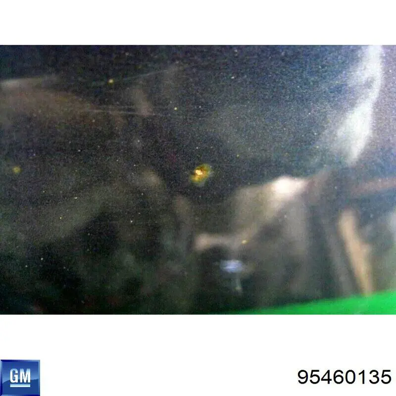Купить 95460135 General Motors Дверь задняя в сборе