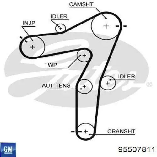 ГРМ ремни, комплект General Motors 95507811 цена, от 58.37 USD