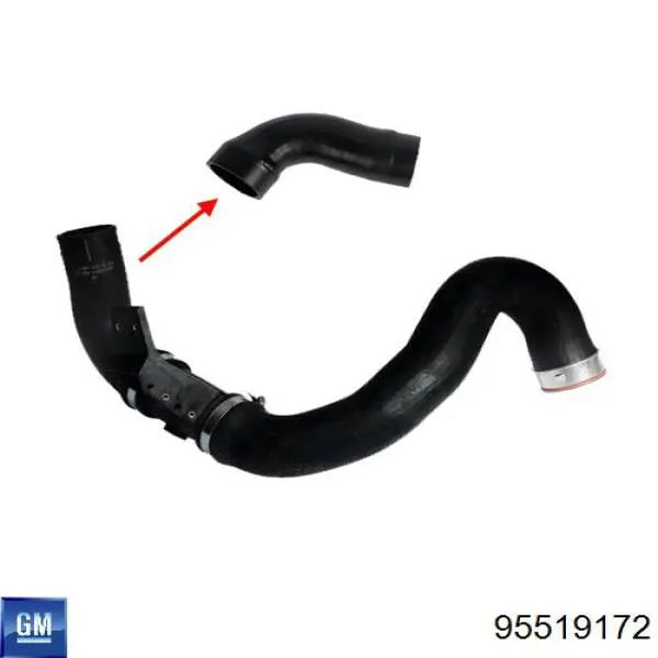 Шланг интеркуллера General Motors 95519172