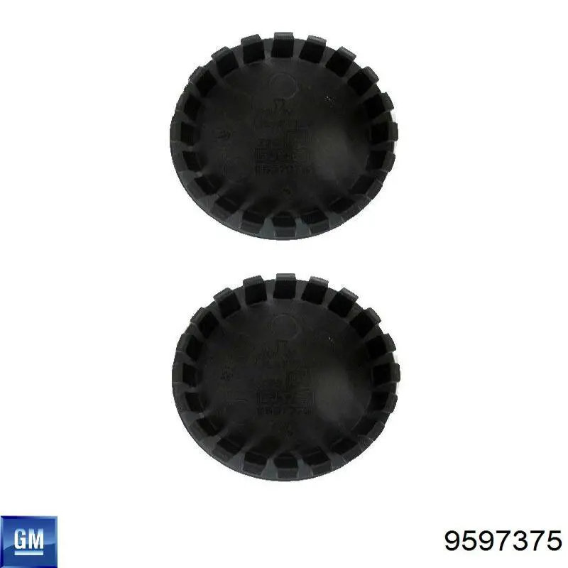  General Motors 9597375