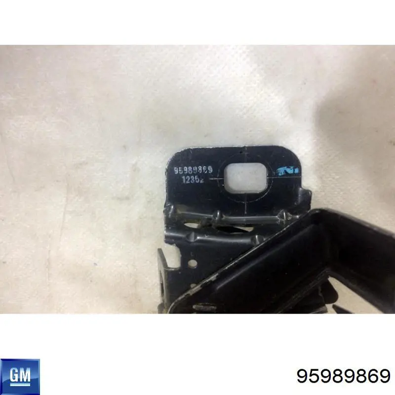 95989869 General Motors 
