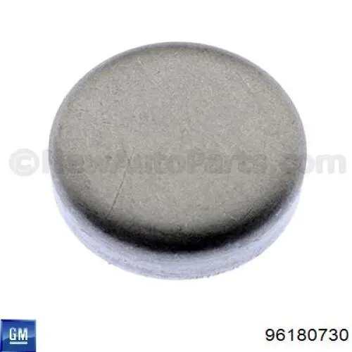 96180730 General Motors Tampão CBC/do bloco de cilindros