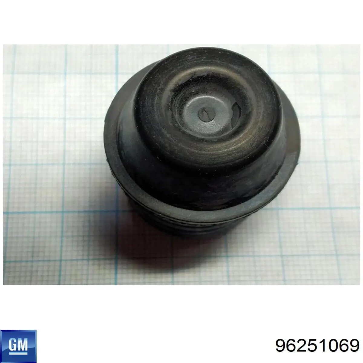  General Motors 96251069 цена, от 0.99 USD