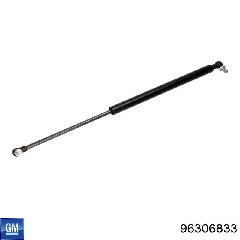 Амортизатор задней двери Magneti Marelli GS0095 цена, от 9.65 USD