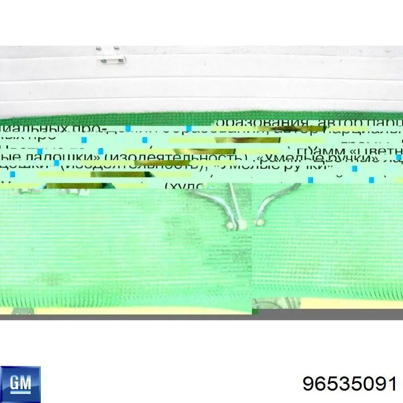 Стабилизатор передней устойчивости на Chevrolet Aveo II T250, T255