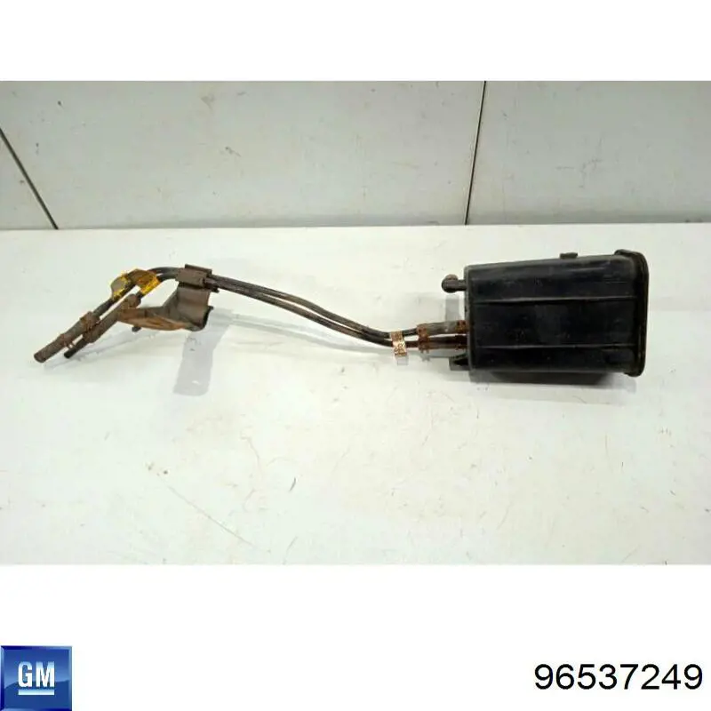 Абсорбер топливных паров на Chevrolet Aveo I T200