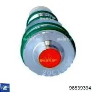 Компрессор системы кондиционирования General Motors 96539394 цена, от 219.81 USD