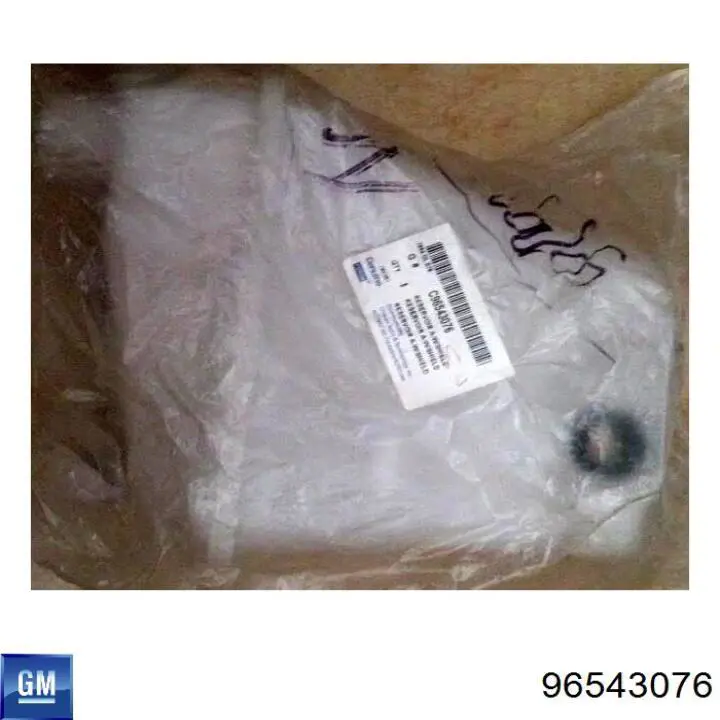 Tanque de fluido para lavador de vidro para Chevrolet Aveo I T200