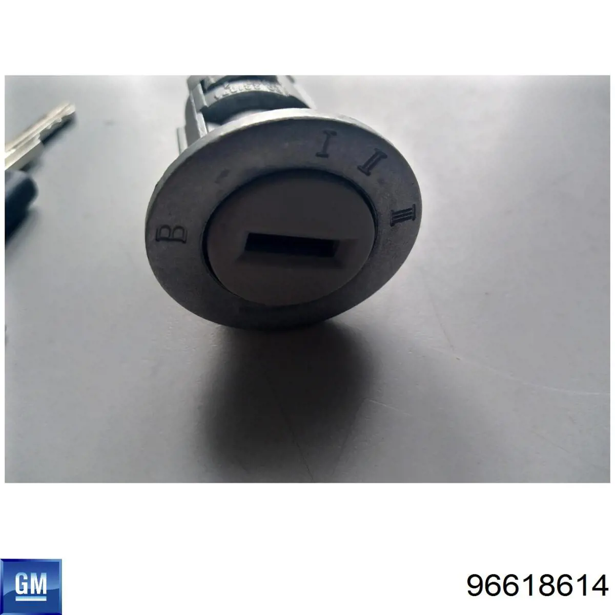 Личинка замка зажигания NTY ESTDW000