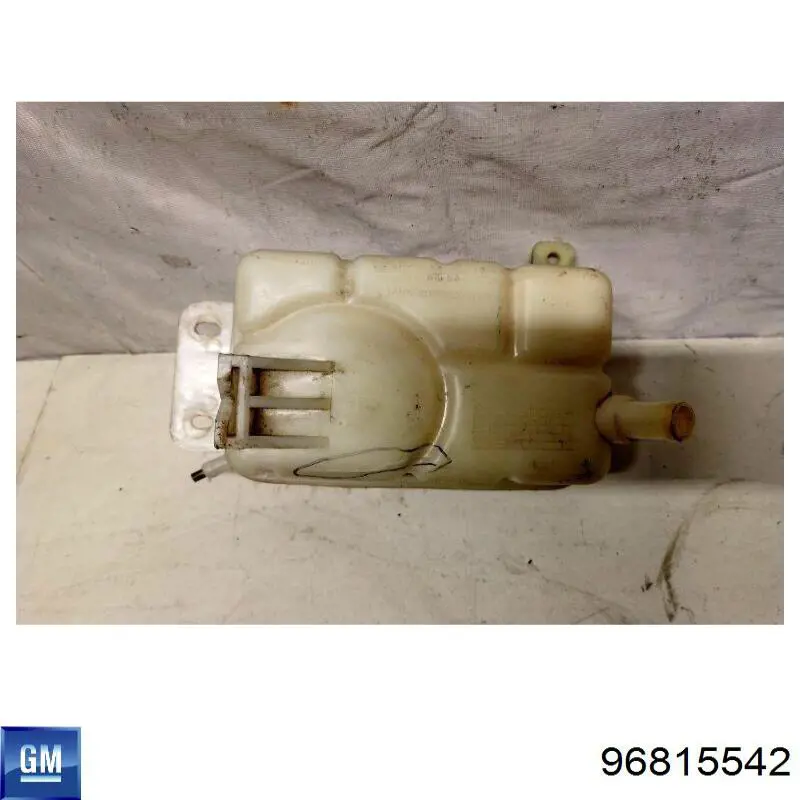 Бачок системы охлаждения 95216944 General Motors