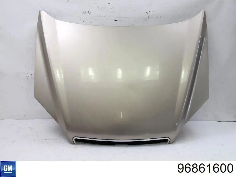 Капот General Motors 96861600 цена, от 94.49 USD