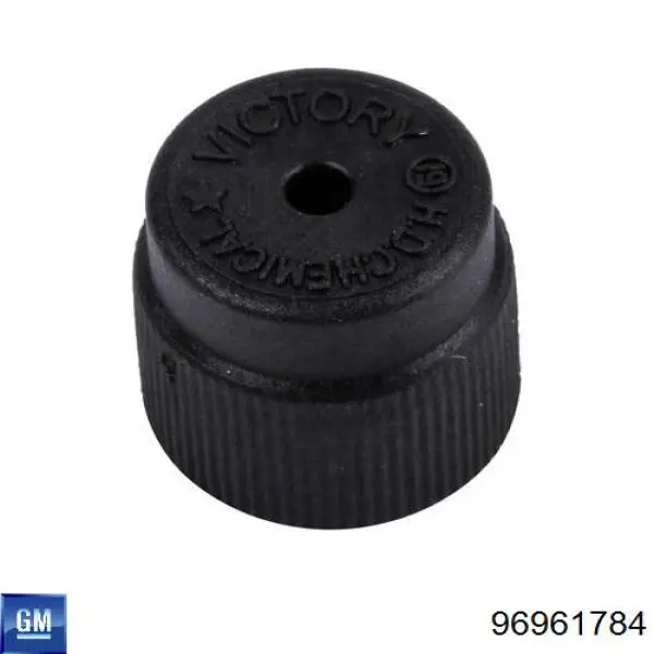  General Motors 96961784 цена, от 1.17 USD