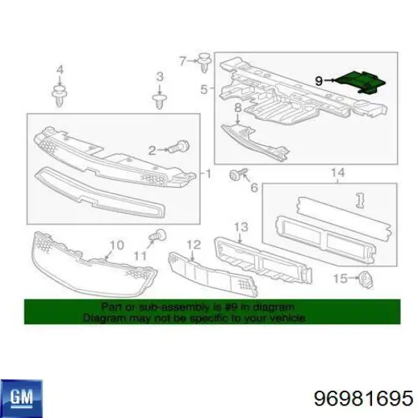  96981695 Peugeot/Citroen