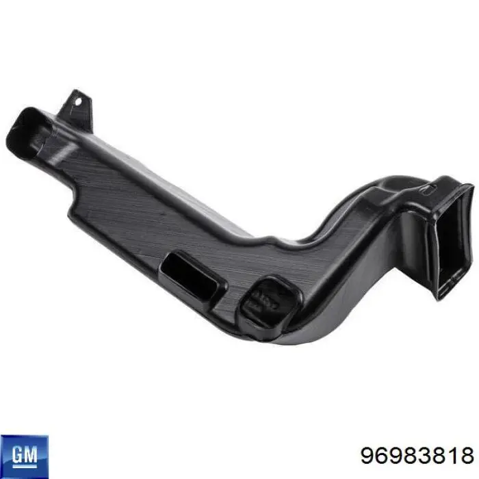  General Motors 96983818 цена, от 38.01 USD