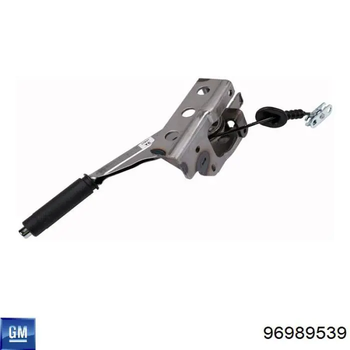 Футляр для очков 96989539 Peugeot/Citroen
