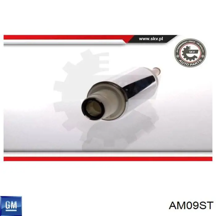 AM09ST General Motors Элемент турбинка топливного насоса