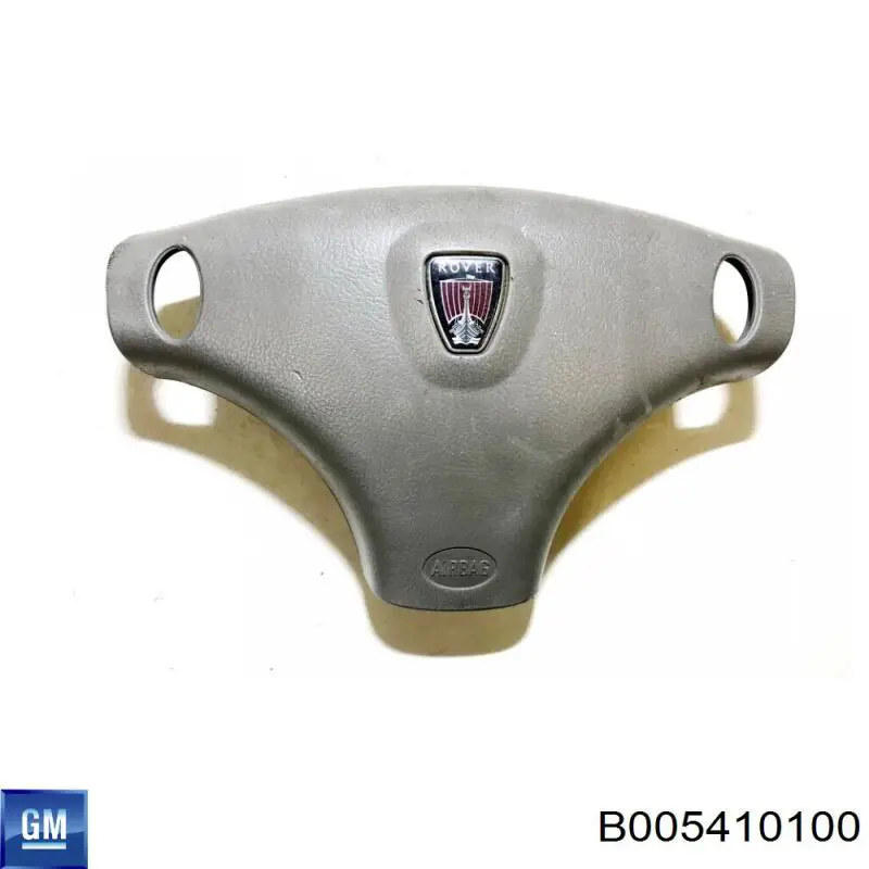 B005410100 General Motors 