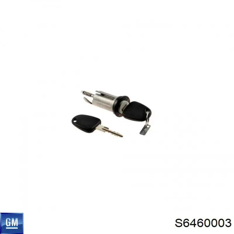 Личинка замка зажигания S6460003 CRB