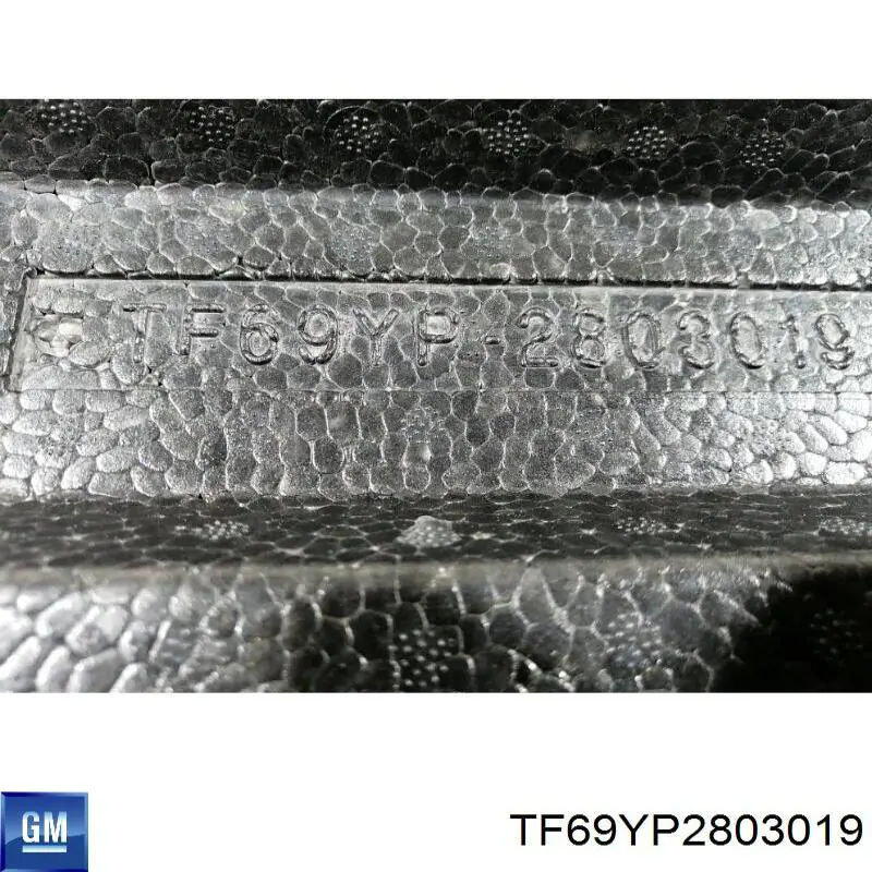 Абсорбер переднего бампера TF69YP2803019 ZAZ