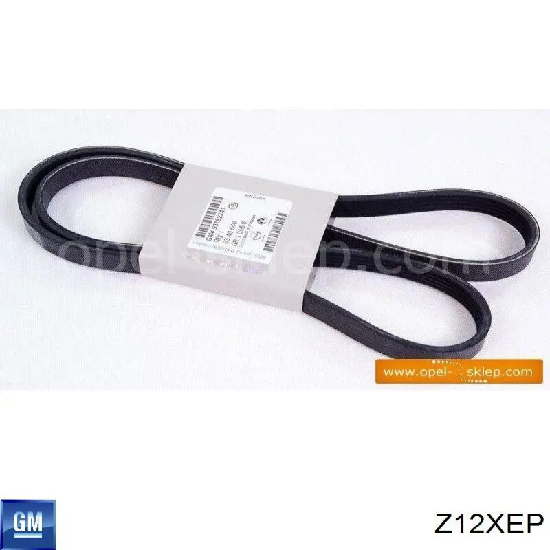 Z12XEP General Motors Мотор в сборе