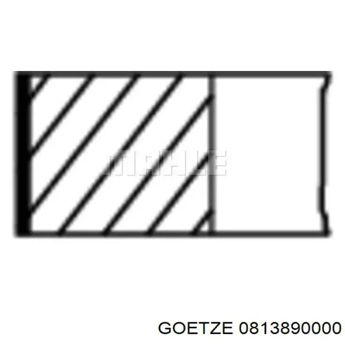 0813890000 Goetze