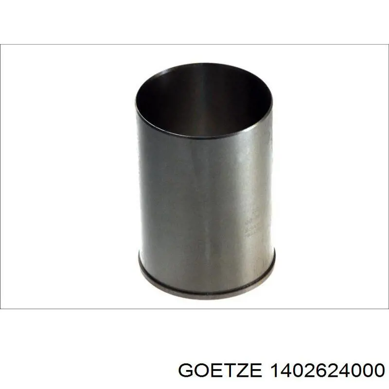 1402624000 Goetze