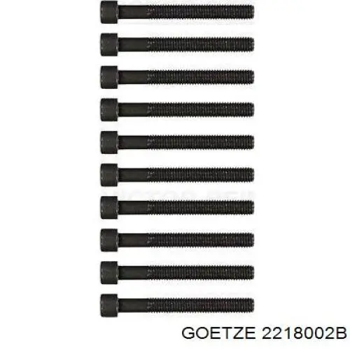 Болт головки блока цилиндров (ГБЦ) Goetze 2218002B