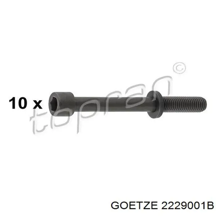 Tornillo de culata 2229001B Goetze