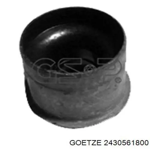 Сальник клапана (маслосъемный), впуск/выпуск, комплект на мотор Goetze 2430561800
