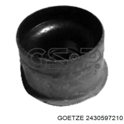 Сальник клапана (маслосъемный), впуск/выпуск, комплект на мотор Goetze 2430597210