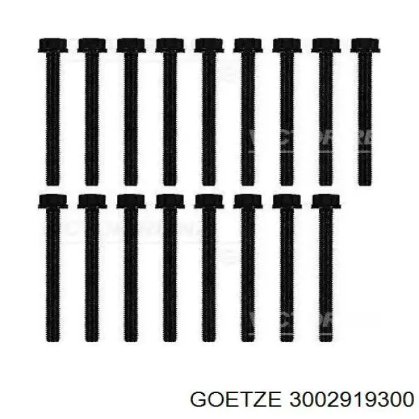 Прокладка головки блока цилиндров (ГБЦ) Goetze 3002919300