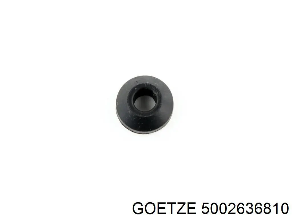 Кольцо уплотнительное свечного колодца Goetze 5002636810