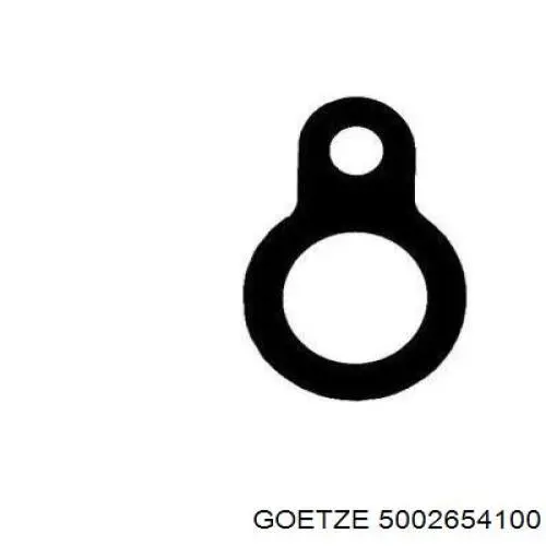 Кольцо уплотнительное свечного колодца Goetze 5002654100