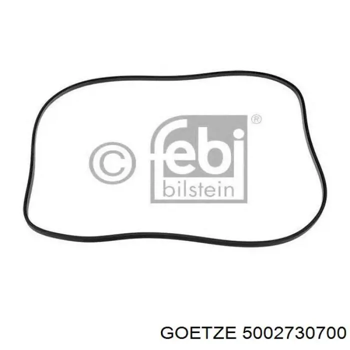 Прокладка крышки двигателя Goetze 5002730700 цена, от 11.48 USD