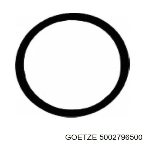 Прокладка клапанной крышки 5002796500 Goetze