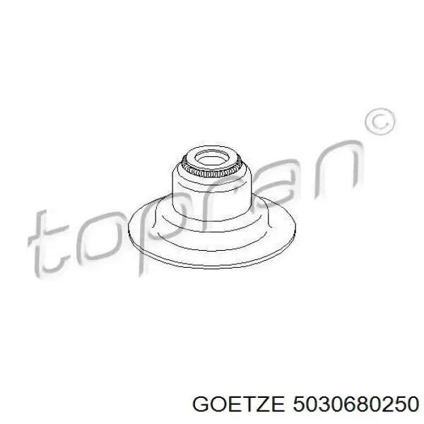 Сальник клапана (маслосъемный), впуск/выпуск, комплект на мотор Goetze 5030680250