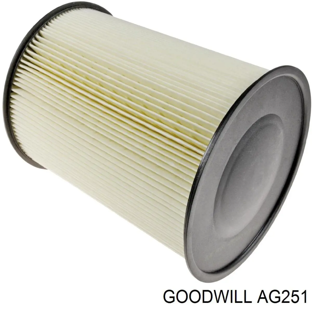 AG 251 Goodwill воздушный фильтр