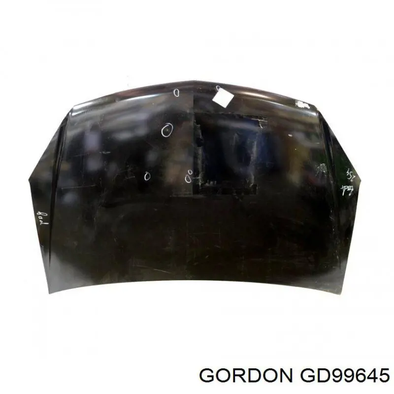GD99645 Gordon капот