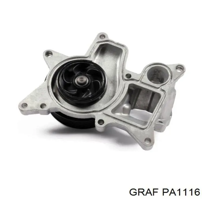 PA1116 Graf