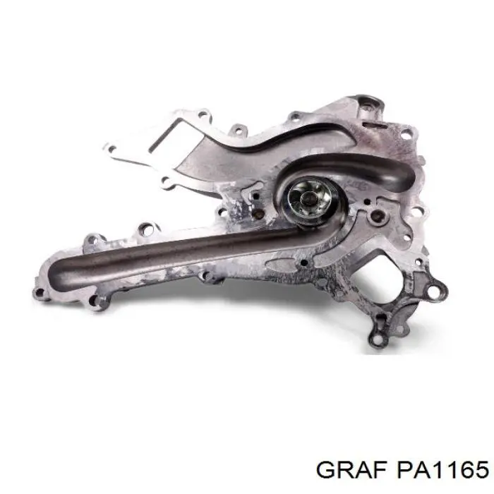 PA1165 Graf