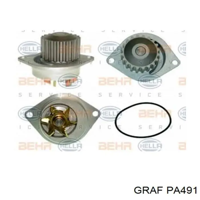 Купить PA491 Graf Насос охлаждения