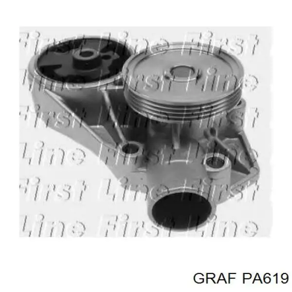 PA619 Graf Насос водяной